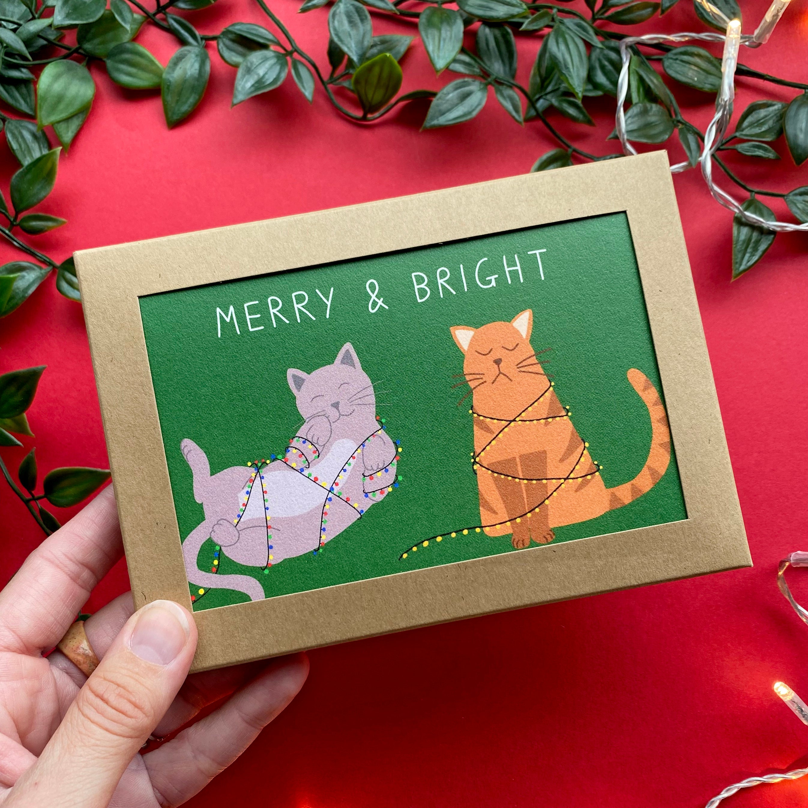 Box for Cat Christmas Cards