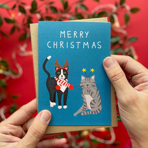 Cats in headgear christmas card