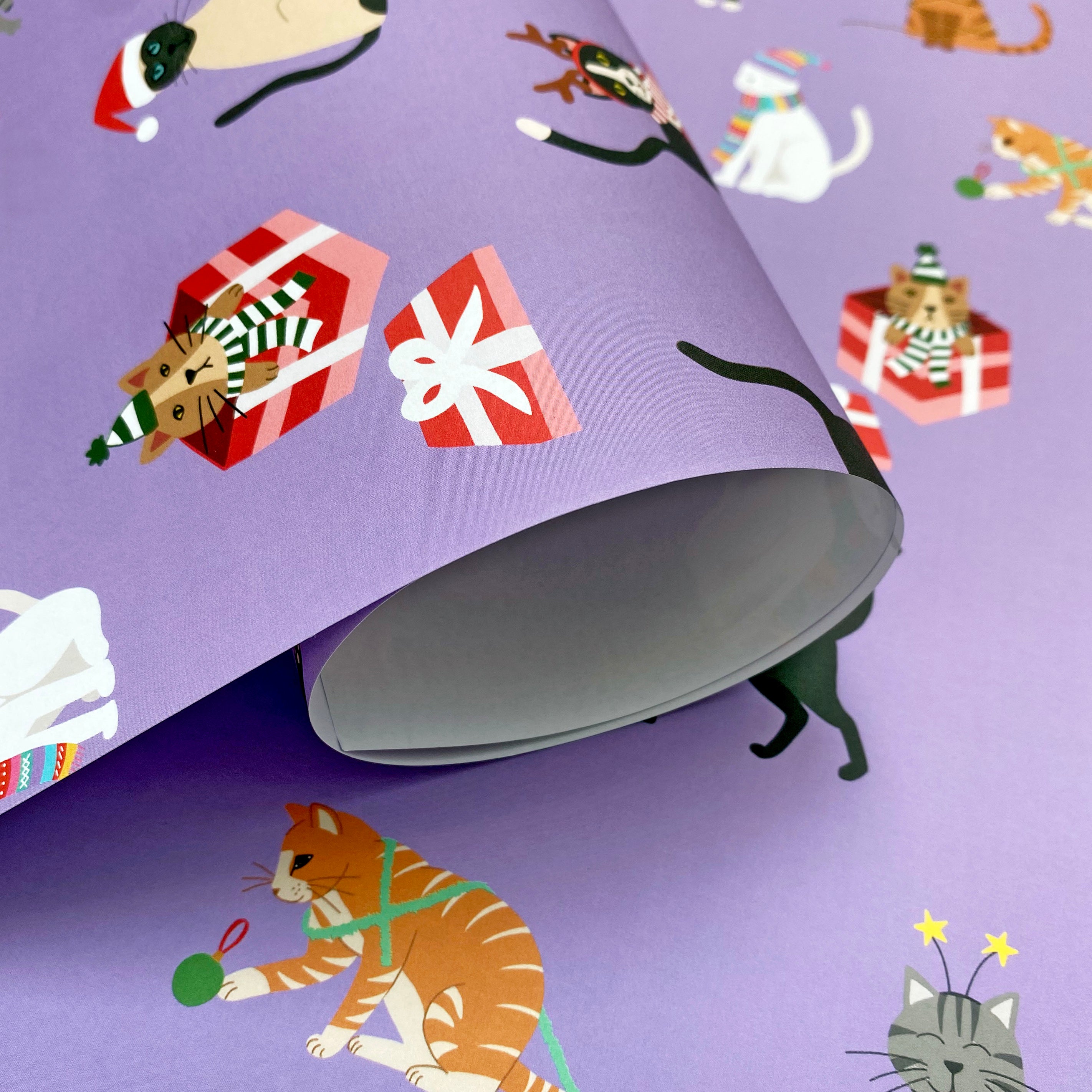 Cat wrapping paper Christmas