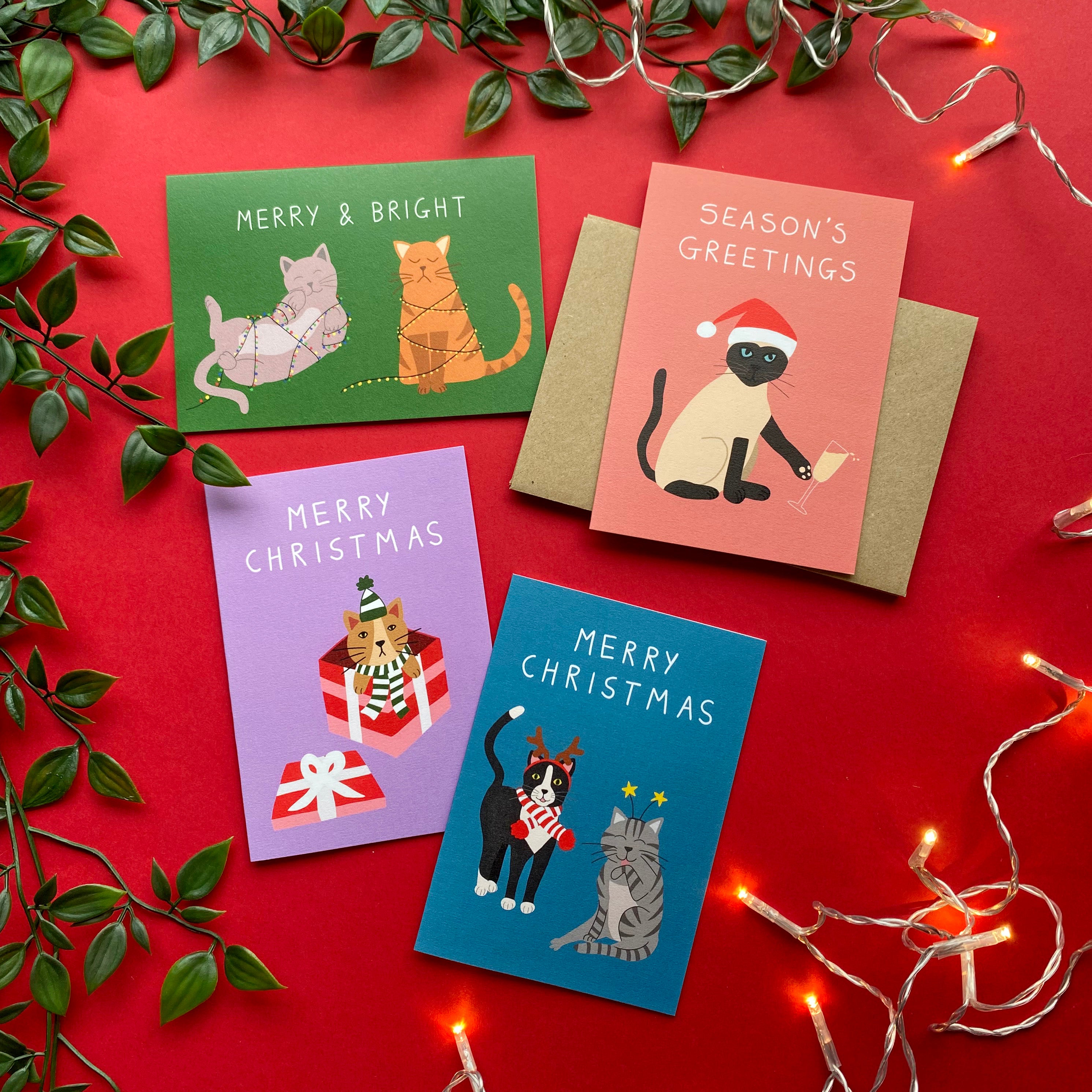 Pack of Christmas cards with cats