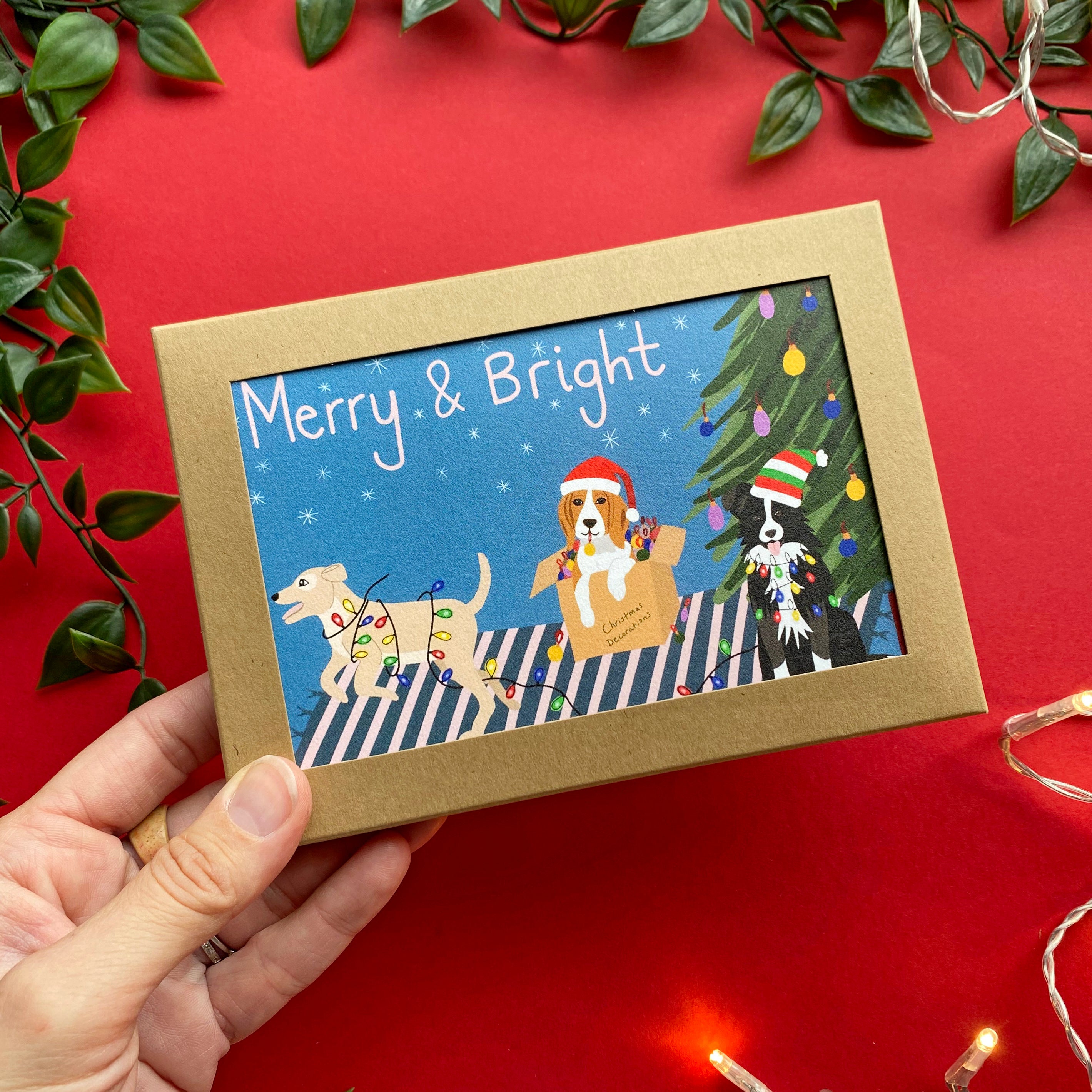 Box for Dog Christmas Cards