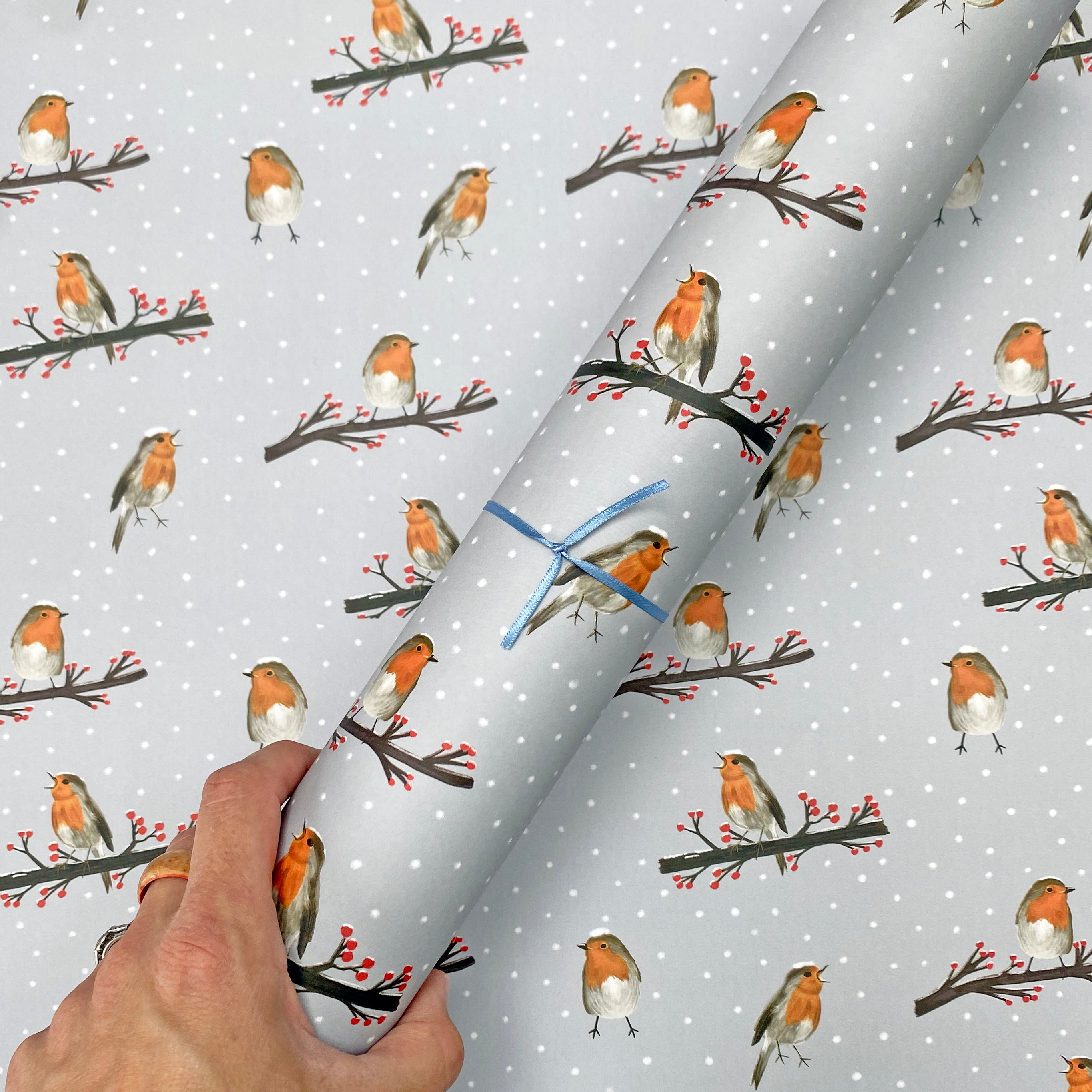 Robin wrapping paper christmas