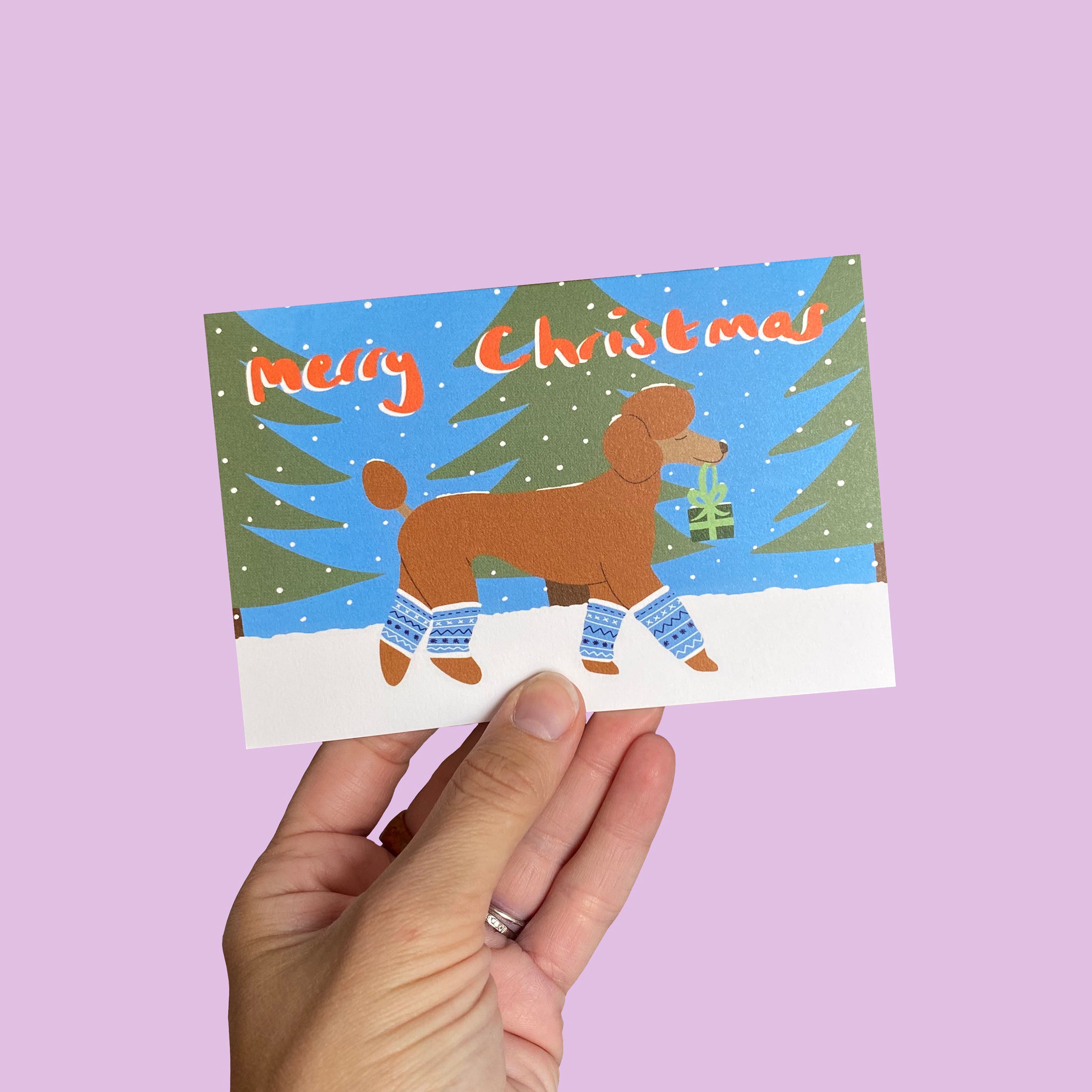 poodle christmas card