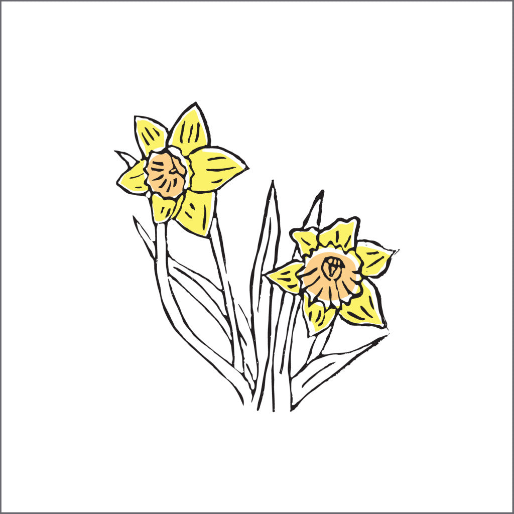 Daffodils Card